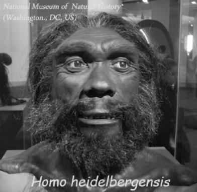 axes) First hominid to use human voice, some level of linguistic or symbolic