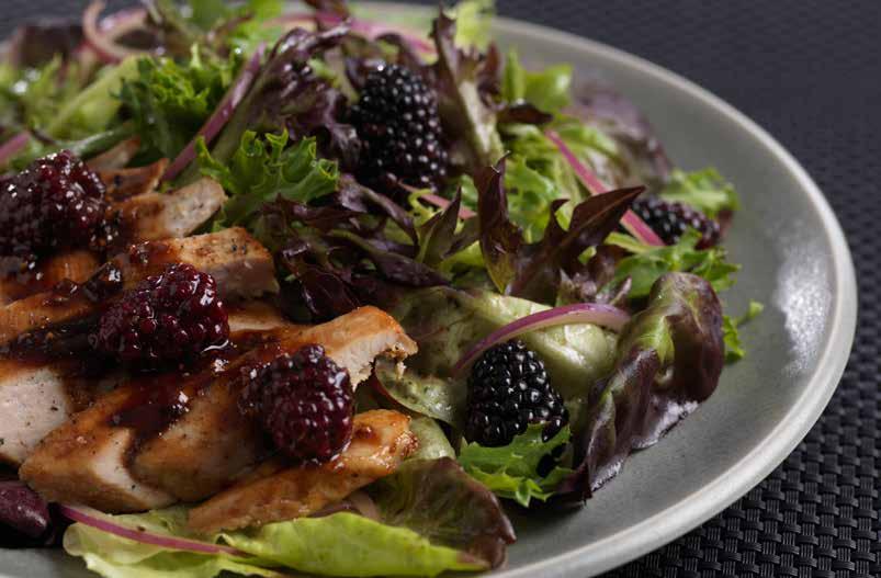Red RomaBlend Salad with Blackberry Balsamic Chicken 3 cups Mann s Red RomaBlend salad mix ½ cup fresh blackberries ½ red onion, thinly sliced Olive oil and balsamic vinegar, to drizzle Salt and