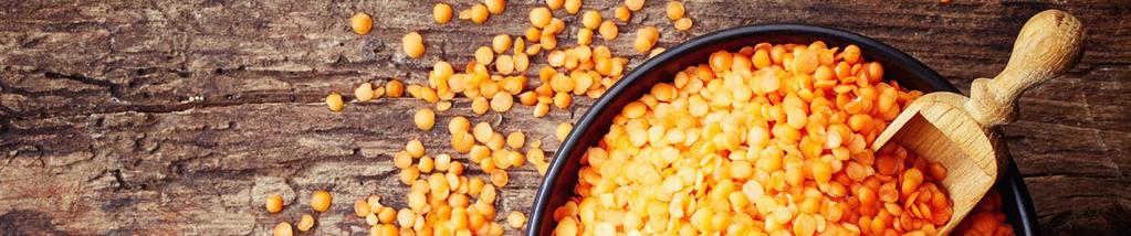 PULSES & SOYBEANS Fava Beans or split Fava beans, also known as faba beans or broad beans, are low in fat and high in fiber and protein.