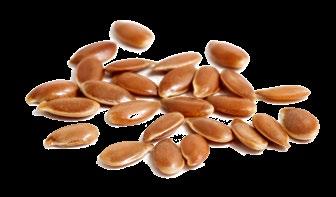 Lentils Lentils are highly nutritional legumes that range in color and size. They readily absorb a range of flavors from other foods and have a high ratio of protein per calorie.