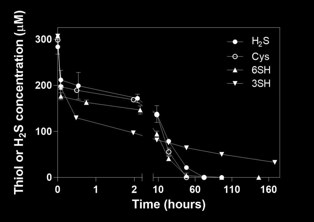 initial consumption of 101 and 121 µm for Cys and 6SH, respectively, the remainder then being fully consumed within 48 h.