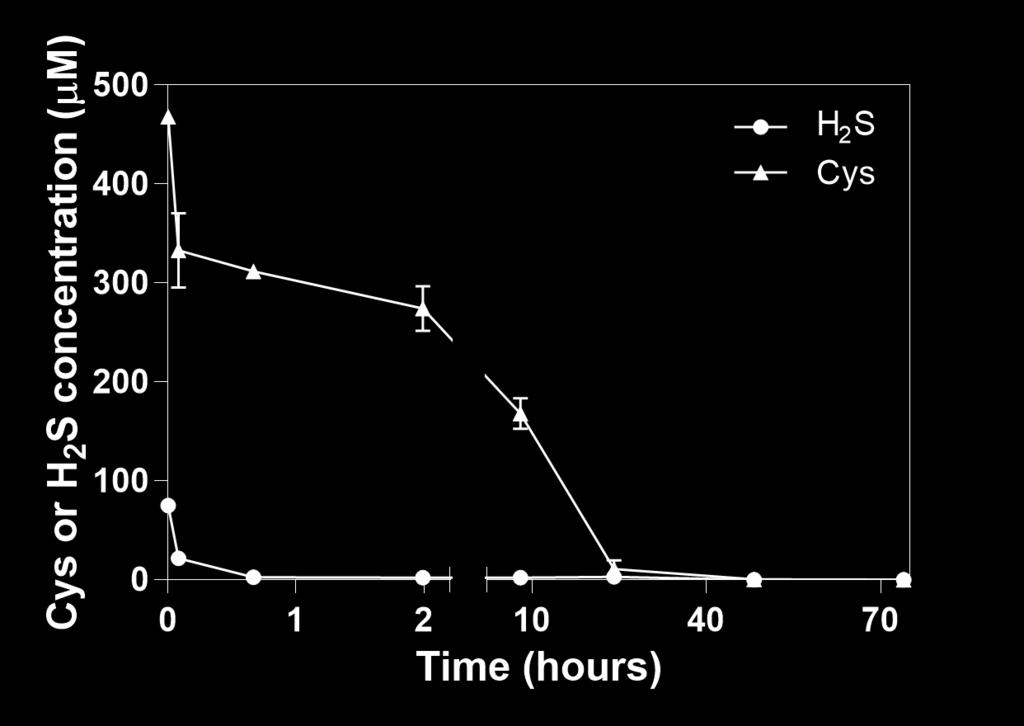 Figure 2.6. Loss of H 2S and Cys in air saturated model wine upon adding Cu(II) (100 µm) to H 2S (~100 µm) in combination with Cys (~400 µm).