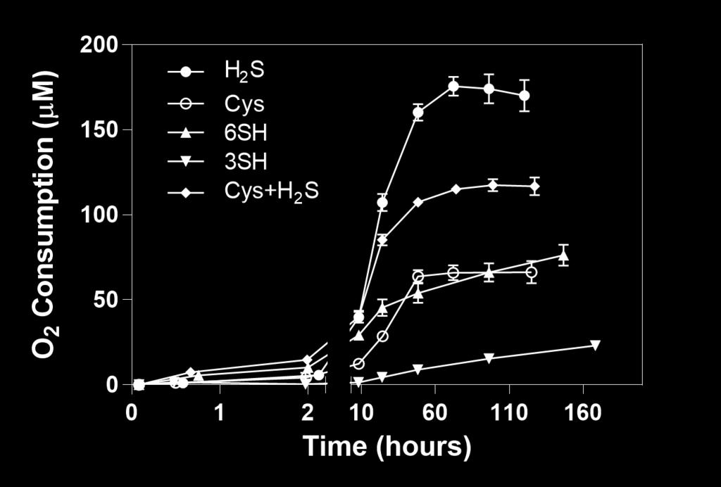 presence of Cu(II) and excess 4-MeC and monitored over time. The rate of O 2 consumption was not effeceted by the presence of the catechol, and its concentration did not decrease over time.