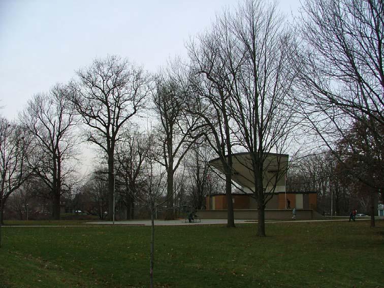 A view of the central section of the park. The ground appears heavily compacted, evidenced by the exposure of tree roots around most of the mature trees.