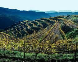 Sept 24 Priorat Start the day surrounded by the hotels s vineyards and the fantastic views across the mountains and plains of Aragon. Today will see us visit two excellent Priorat Bodegas.
