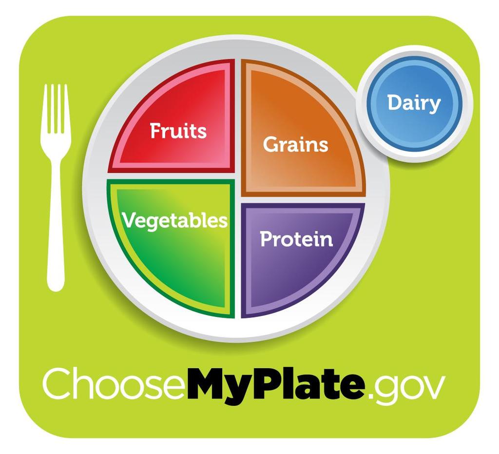 My Plate Half of your plate should be fruits and vegetables Eat whole grains Eat lean meats such as turkey, chicken and fish Key things for kids to think about: