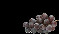 Vimark Vineyards Vineyard Summary Vineyard Details 22 20.59 VARIETAL ACRES Sauvignon Blanc 20.59 Chardonnay 15.29 18 13 15.29 16.49 10.24 14.66 Cabernet Sauvignon 16.49 Merlot 10.24 9 4 5.