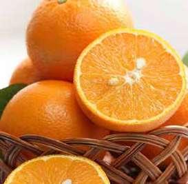 Orange Valencia 2.