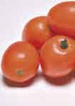Tropical Mangoes /$ Good Source of Vitamin C English Seedless Cucumbers