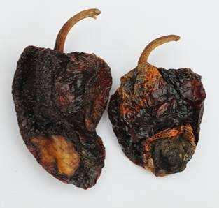 In particular whole dried chilli peppers affected by rotting, or the rot affecting the crown only, even if the signs