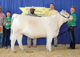 Grand Champion. Purchased by Blake Sweeter.