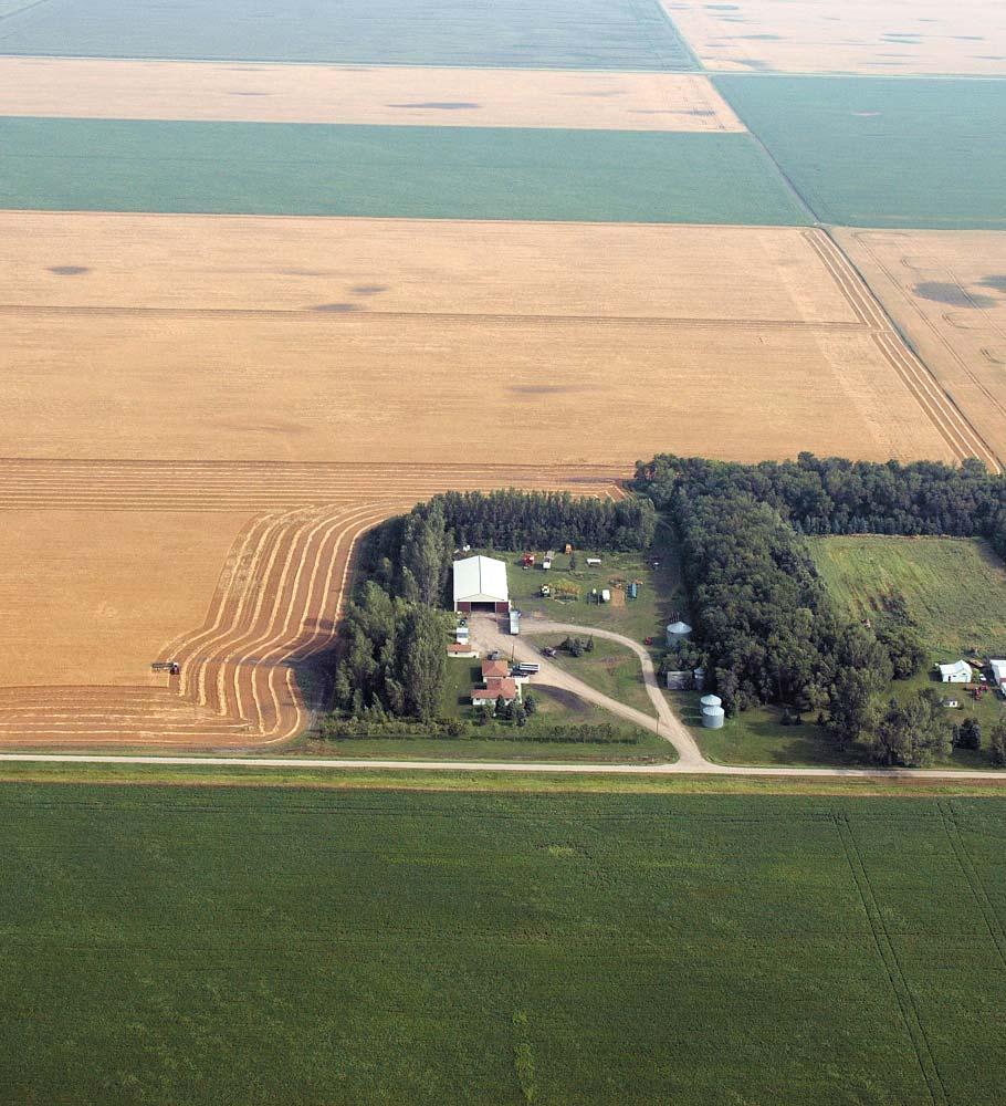 North Dakota Wheat Commission Montana Wheat and Barley Committee Minnesota Wheat Research