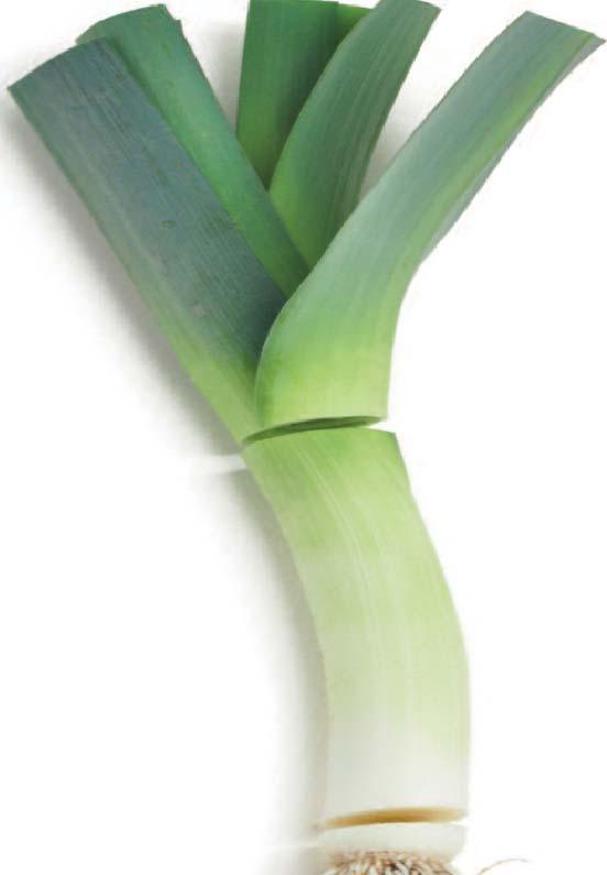 Leeks are similar to onions but have a sweeter, milder lavor. Quick Fix ˆ Leeks can be eaten raw or cooked. ˆ Use sliced leeks in salads green, pasta or potato.