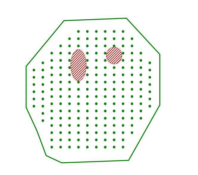production as on a parcel without trees and (3) do not exceed the density of 40 trees per hectare. Holes should also be excluded as, theoretically, the producer has to fill these gaps with new plants.