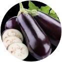 EGGPLANT Supplies are still on the light side this week out of Florida, quality is much better and markets are mostly unchanged.