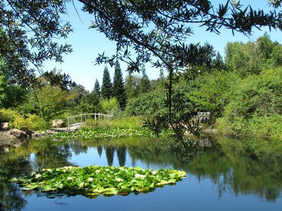 Its vast collection of East Asian plants is internationally recognized as one of largest collections in the Western world.