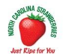 to draw a picture with. Explain why or why not. North Carolina Strawberry Association www.ncstrawberry.