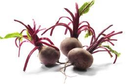 Beetroot is a rich source of potent antioxidants and nutrients, including magnesium, sodium, potassium, folic acid and vitamin C, as well as betaine, a substance that relaxes the mind and is used in