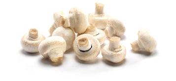 8kg 3175CS Mushrooms Flat (60mm) 1.8kg 3174CS Mushrooms Flat Extra Large 1.8kg 3864EA Mushrooms Oyster White 500g 3861CS Mushrooms Oyster White 1.