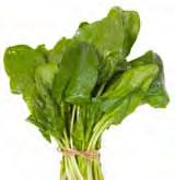 Asian Cabbage