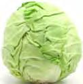 Cabbage 79