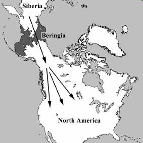 B. New Discoveries 1. theory - 2. migrated all the way to the southern tip of 3. developed cultures - a. LIVED: cities vs. b. CLOTHING: furs and skins vs. c. SHELTER: wood lodges, grass, animal skin tents, cliff dwellings d.