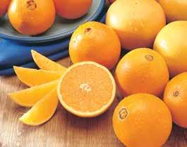 Size Juicy Sunkist Navel Oranges 0/$ Michigan Juicy