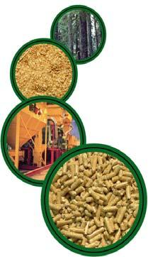 Knowledge is Power About Wood Pellets They are no thicker than the eraser on the end of a pencil.