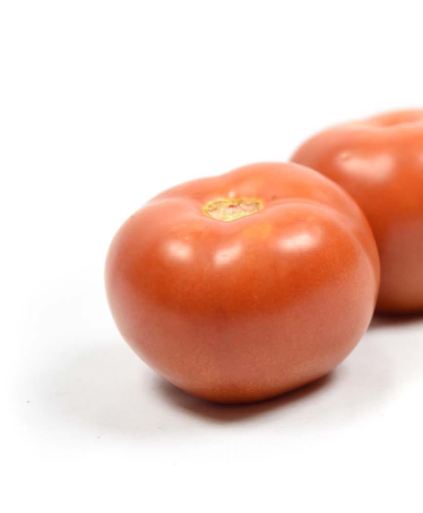 Tomatoes: A