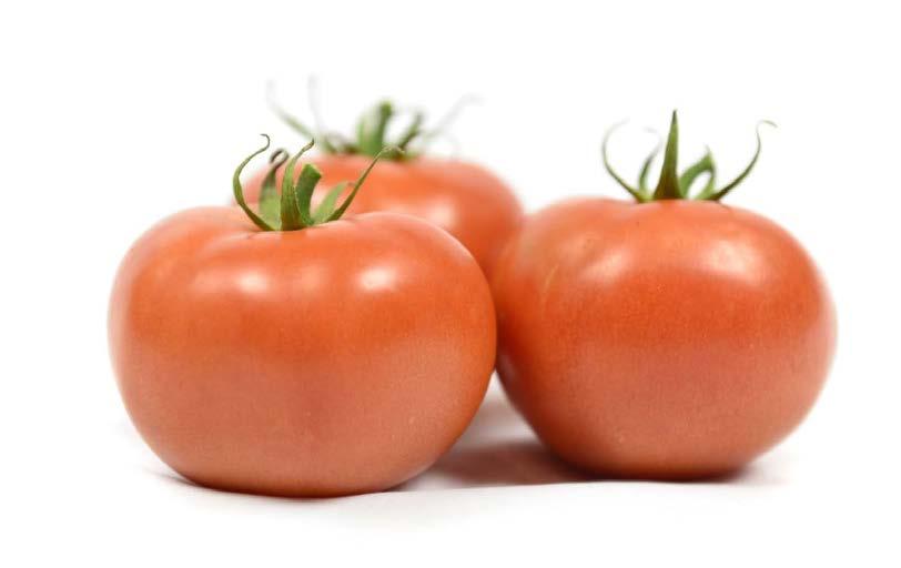 Letter from Veg-Fresh Farms Dear Produce Retailer, The tomato quality in your department can be the key to increased sales and perception of the rest of the fruit and vegetables in your department.
