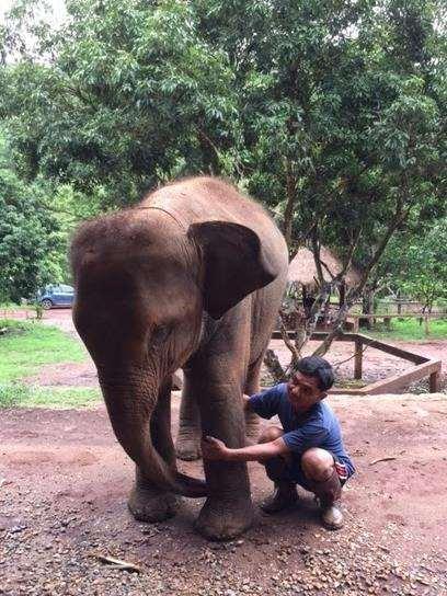 5. Patara Elephant Farm Pros No bullhooks No chains No elephant shows No seated riding Verbal commands are encouraged Elephant breeding