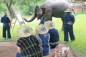 9. E.L.E. (Elephant Life Experience) Elephant painting Pros No seated