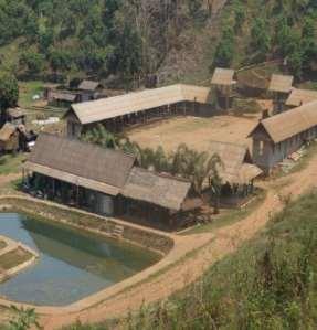 1. Rantong Save & Rescue Elephant Center Overview Rantong was founded with a single purpose to rescue
