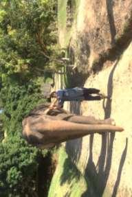 3. Thai Elephant Care Center Elephant with mahout Pros No chains (while mahout is nearby)