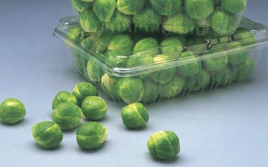 Brussels Sprouts Capitola Perfect for the early mid-season harvest in California, Capitola features a medium sprout, a small butt and flat wing leaves.