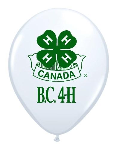 00/each Pewter Key chain with 4-H Canada logo