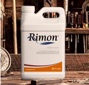 Rimon Only targets larvae, spray as soon as adults