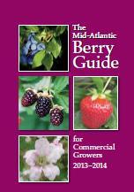 More Information Mid Atlantic Berry Guide