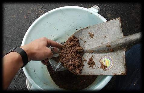 Taking a soil sample Mix