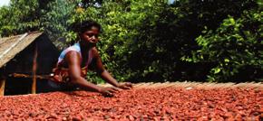 Our services Cocoa Innovation Centres: Shorten your development cycle Olam Cocoa operates Cocoa Innovation Centres around the world where dezaan experts assist in developing precision colours and