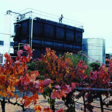 California Wine Community Sustainability Report 2004