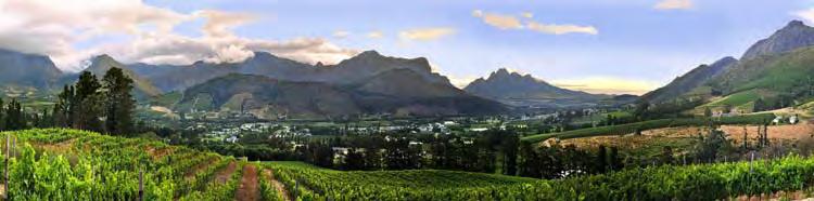 FRANSCHHOEK CELLAR HARVEST REPORT 2016 The Franschhoek Cellar s harvest began with Sauvignon Blanc from the valley on 22 January.