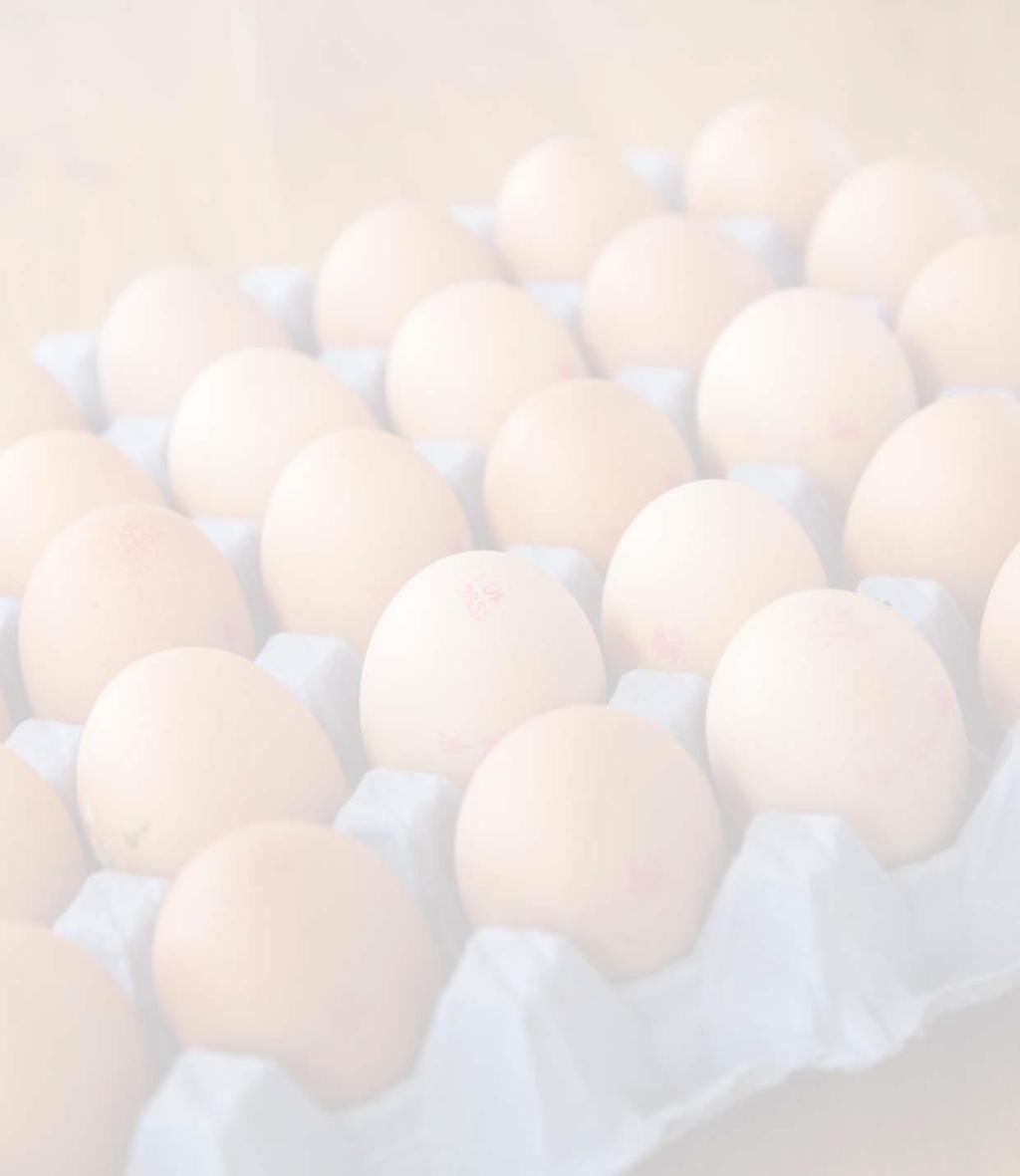 Dairy Eggs Large Free Range Eggs 12 x 30 POR Medium Eggs 12 x 30 POR Large Free Range Egg Tray x 30 POR Medium Eggs Tray x 30 POR Duck Eggs x 12 6.