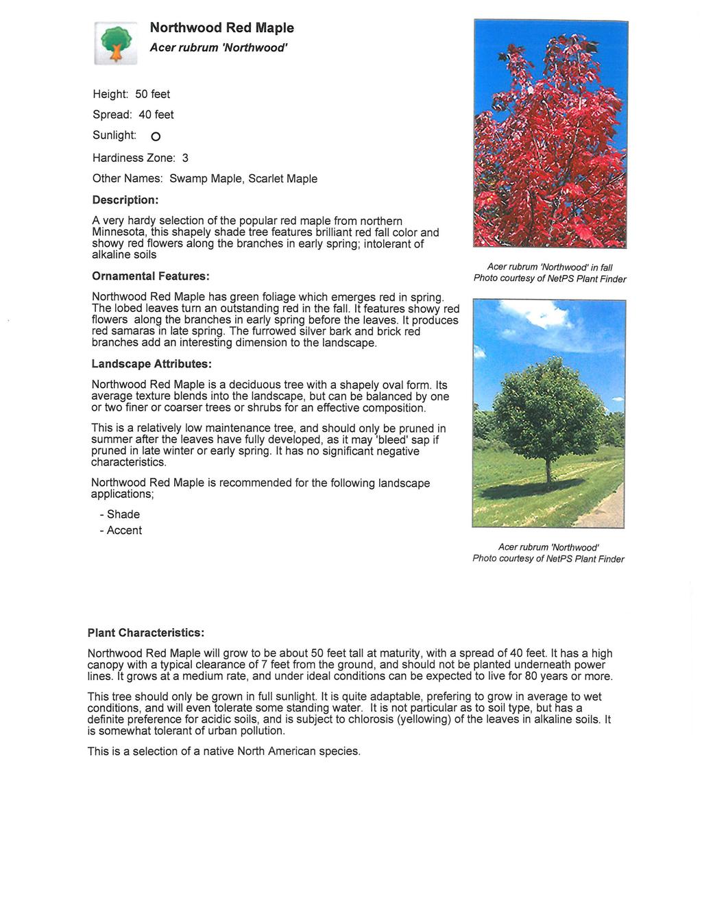 Northwood Red Maple Acer rubrum 'Northwood' Height: 50 feet Spread: 40 feet Sunlight: 0 Hardiness Zone: 3 Other Names: Swamp Maple, Scarlet Maple A very hardy selection of the popular red maple from