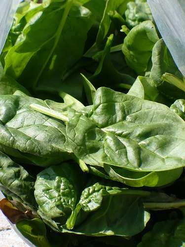 Traditional spinach
