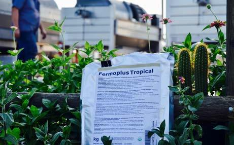 Fermoplus Tropical Nutrient for yeasts with a high content in amino acids, ideal for obtaining wines with high aromatic expression Packaging: 5 kg bags The availability of specific amino acids allows