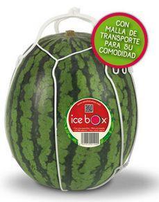 Example Smaller portions Small watermelon that fits in a fridge,