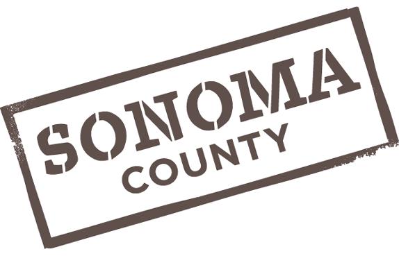 93 billion in 2016 Sonoma County received top wine tourism region award