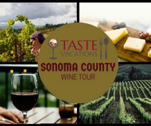 Conducted 2 Consumer Surveys Discovered in both surveys that consumers were more familiar with the term SONOMA than the individual