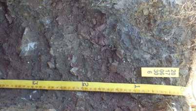 The upper subsoil is a pale brown clay loam with firm to hard massive structure to a depth of about 40 inches. The lower subsoil is a dark gray hard massively structured clay.